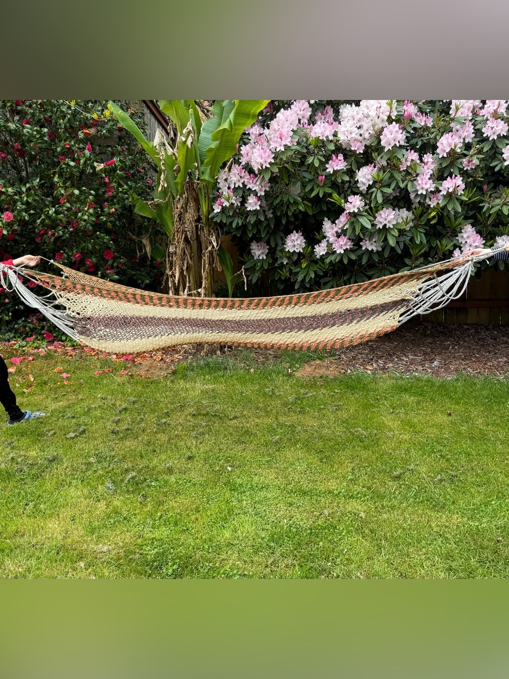 Hand Crafted Multicolor Woven Cotton Hammock in Cream, Brown, Green
